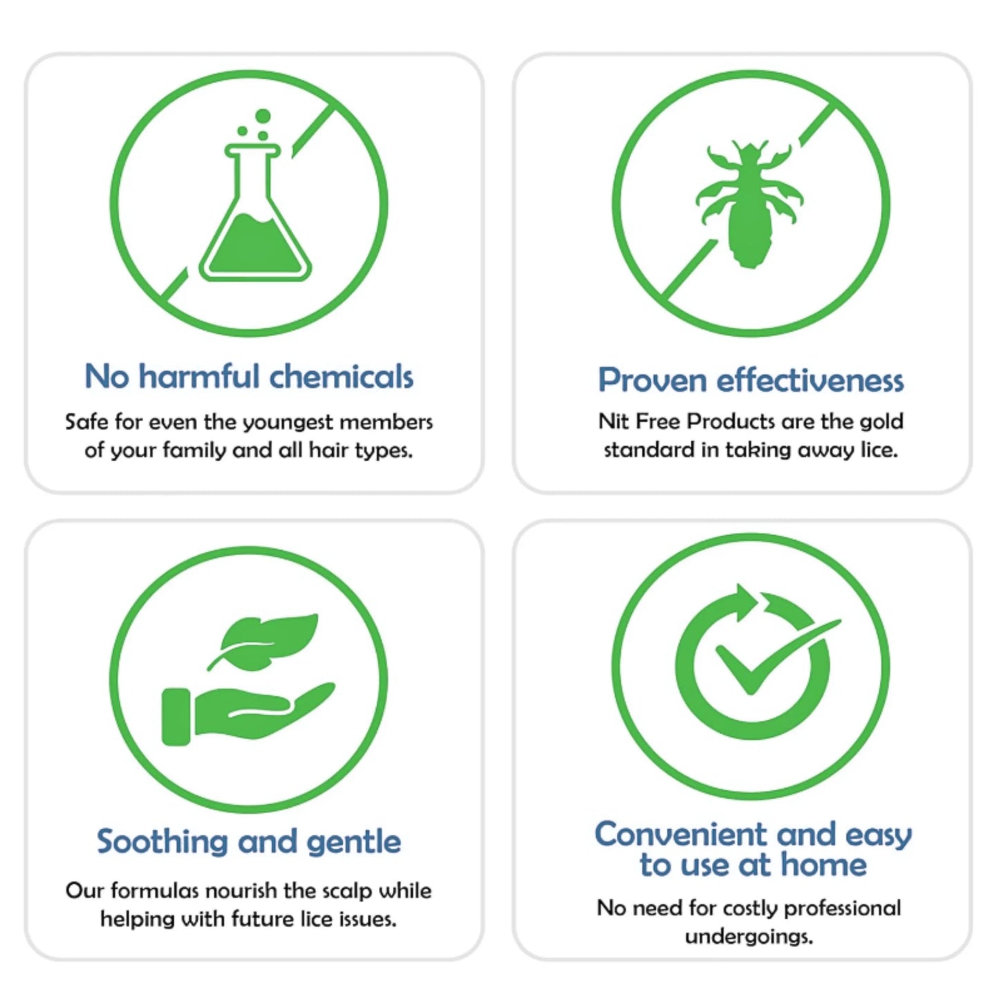 Anti Lice Hair Oil | Natural Herbal Treatment for Lice & Nits