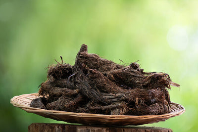 Baalchar (Jatamansi)