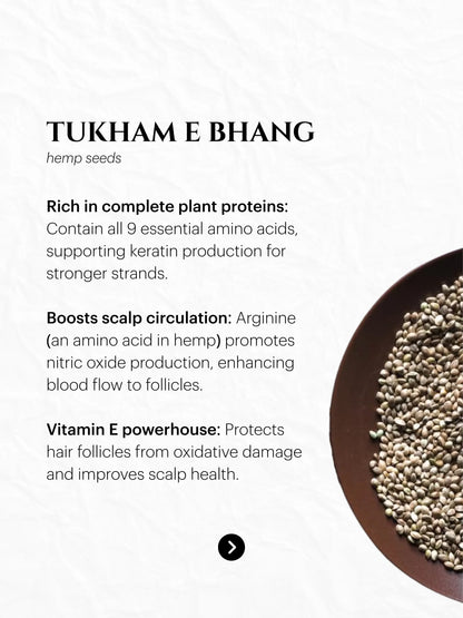 Saynoor OLI - 100% Natural Hair Oil for Men & Women